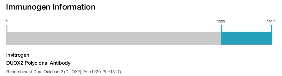DUOX2 Polyclonal Antibody
