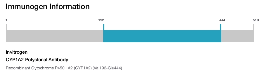 CYP1A2 Polyclonal Antibody