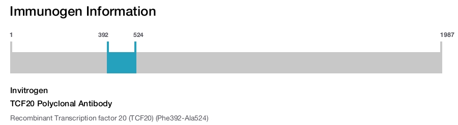 TCF20 Polyclonal Antibody