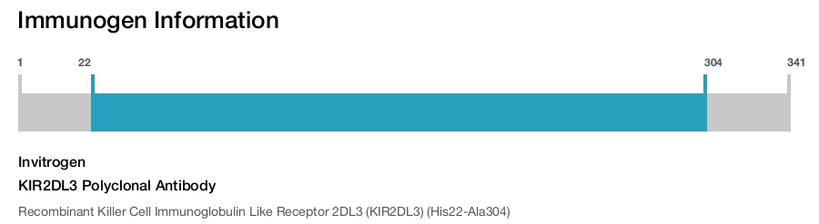KIR2DL3 Polyclonal Antibody