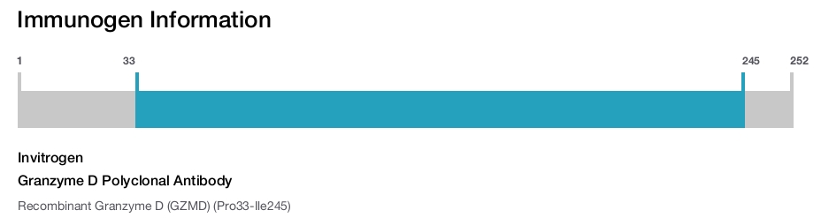 Granzyme D Polyclonal Antibody