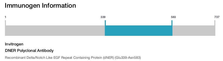 DNER Polyclonal Antibody