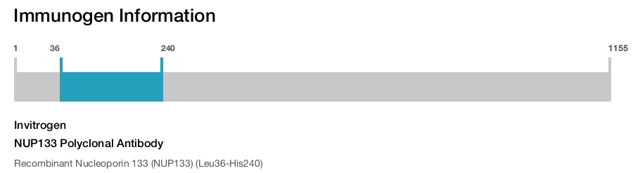 NUP133 Polyclonal Antibody