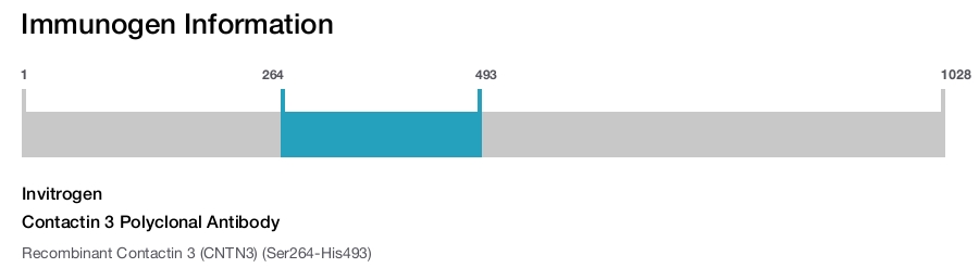 Contactin 3 Polyclonal Antibody
