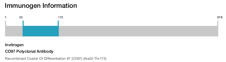 CD97 Polyclonal Antibody