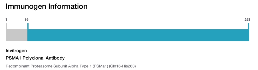 PSMA1 Polyclonal Antibody