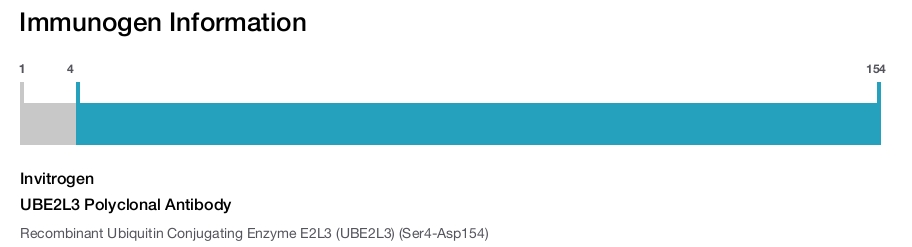 UBE2L3 Polyclonal Antibody