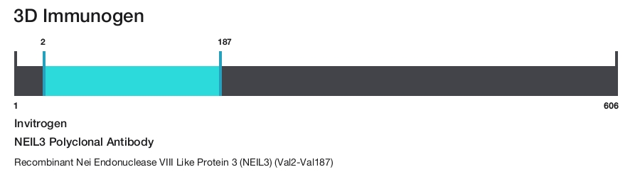 NEIL3 Polyclonal Antibody