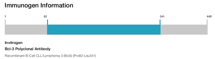Bcl-3 Polyclonal Antibody