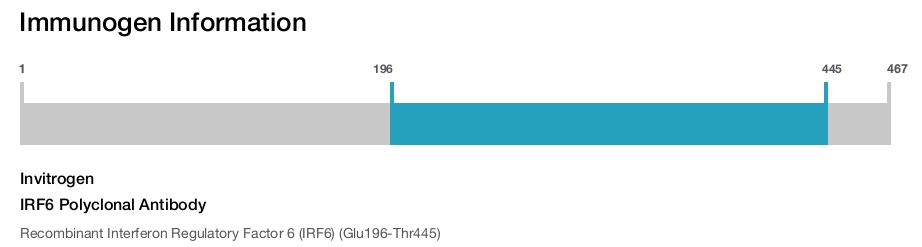 IRF6 Polyclonal Antibody
