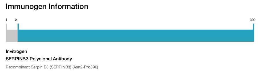 SERPINB3 Polyclonal Antibody