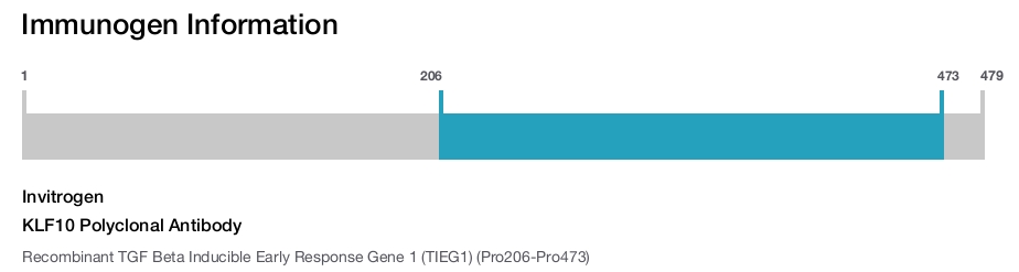 KLF10 Polyclonal Antibody