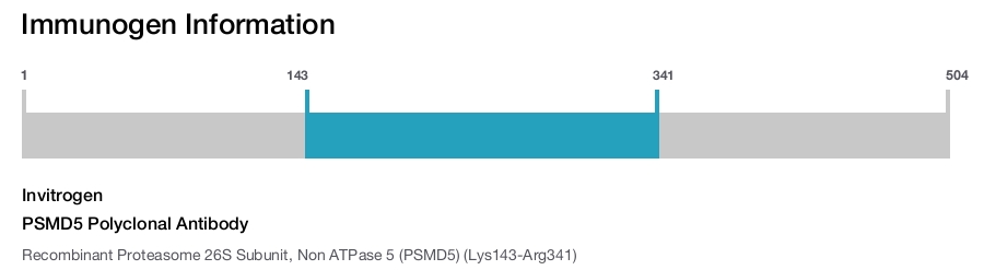 PSMD5 Polyclonal Antibody