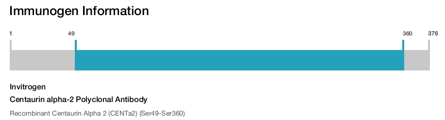 Centaurin alpha-2 Polyclonal Antibody