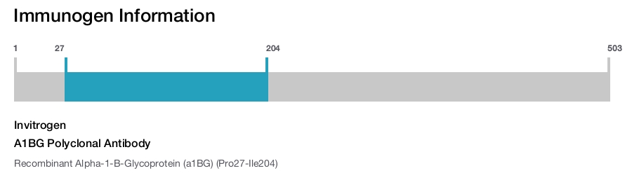 A1BG Polyclonal Antibody