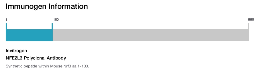 NFE2L3 Polyclonal Antibody