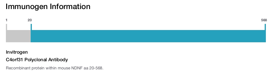 C4orf31 Polyclonal Antibody