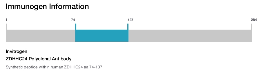 ZDHHC24 Polyclonal Antibody