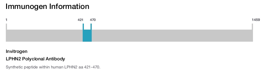 LPHN2 Polyclonal Antibody