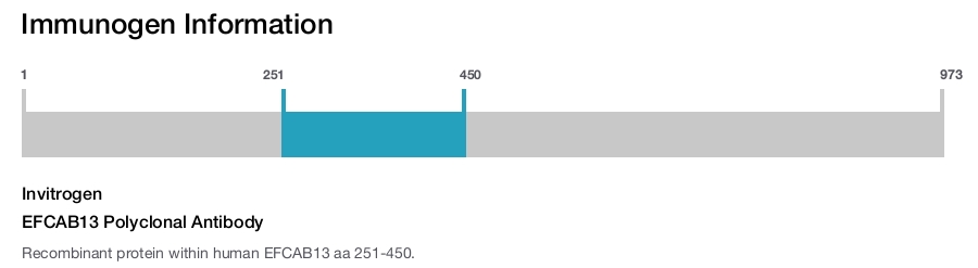 EFCAB13 Polyclonal Antibody