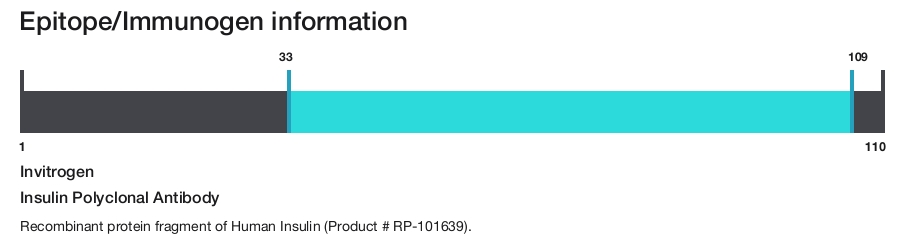 Insulin Polyclonal Antibody