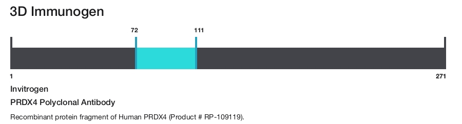 PRDX4 Polyclonal Antibody