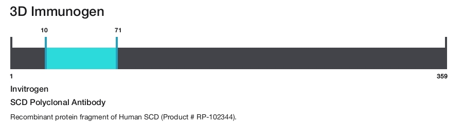 SCD Polyclonal Antibody