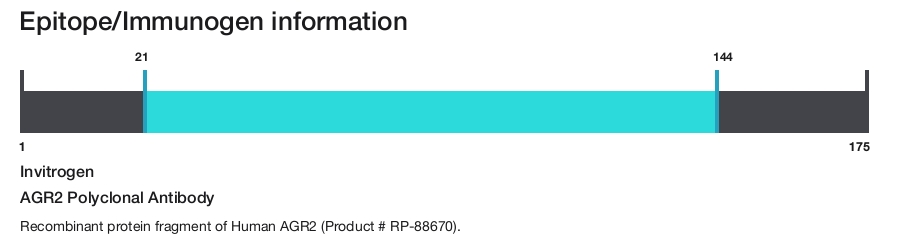 AGR2 Polyclonal Antibody