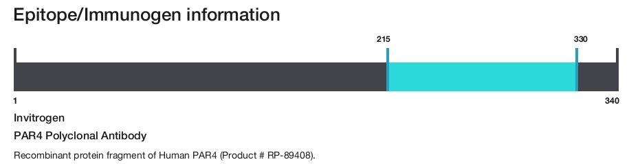 PAR4 Polyclonal Antibody