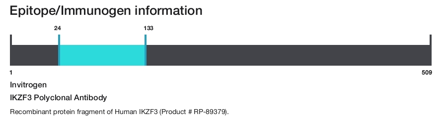 IKZF3 Polyclonal Antibody