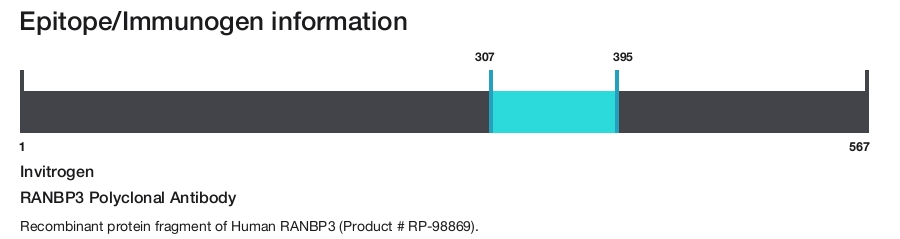 RANBP3 Polyclonal Antibody