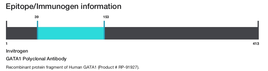 GATA1 Polyclonal Antibody