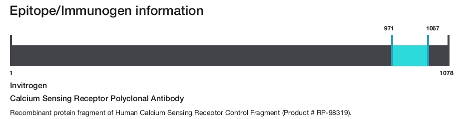Calcium Sensing Receptor Polyclonal Antibody
