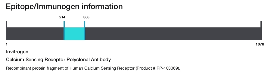 Calcium Sensing Receptor Polyclonal Antibody