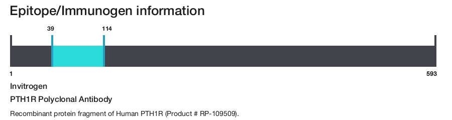 PTH1R Polyclonal Antibody