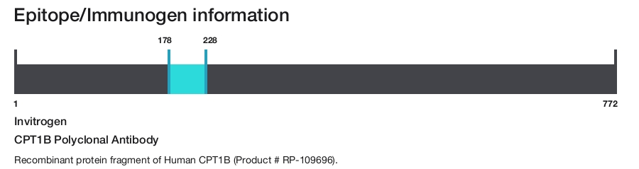 CPT1B Polyclonal Antibody