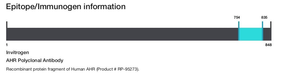 AHR Polyclonal Antibody