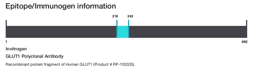 GLUT1 Polyclonal Antibody