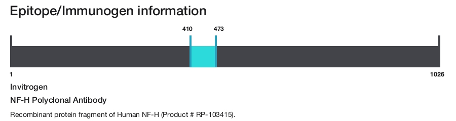NF-H Polyclonal Antibody