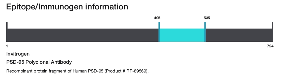 PSD-95 Polyclonal Antibody