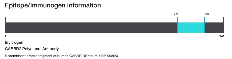 GABBR2 Polyclonal Antibody