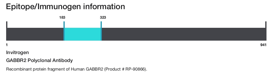 GABBR2 Polyclonal Antibody