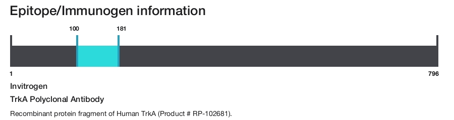 TrkA Polyclonal Antibody