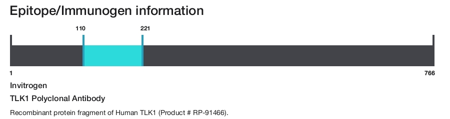 TLK1 Polyclonal Antibody