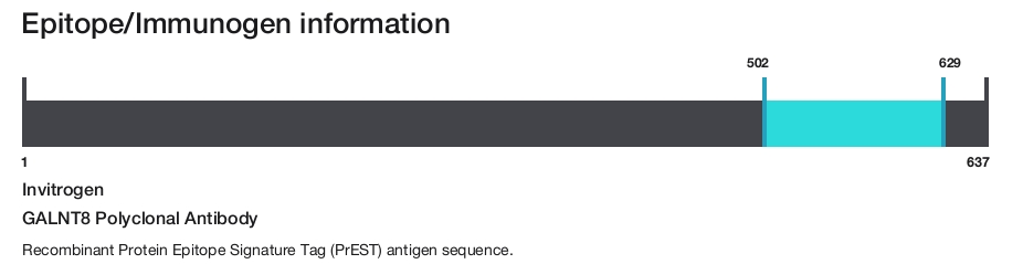 GALNT8 Polyclonal Antibody