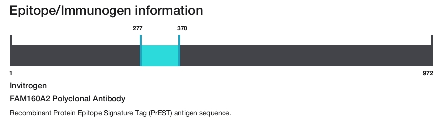 FAM160A2 Polyclonal Antibody