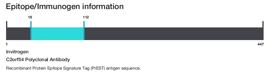 C2orf54 Polyclonal Antibody