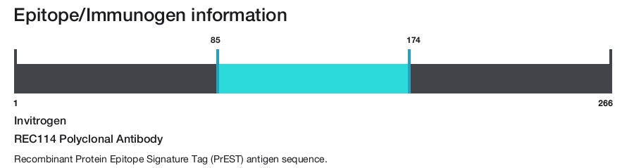 REC114 Polyclonal Antibody