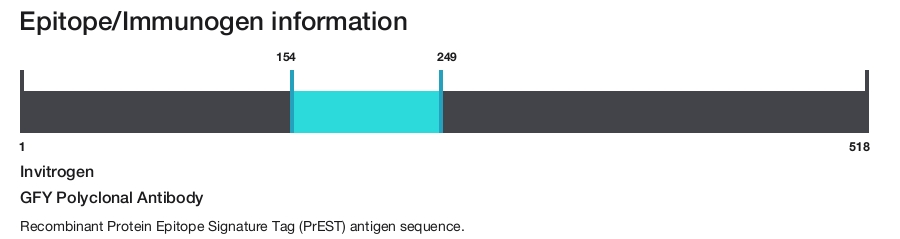 GFY Polyclonal Antibody