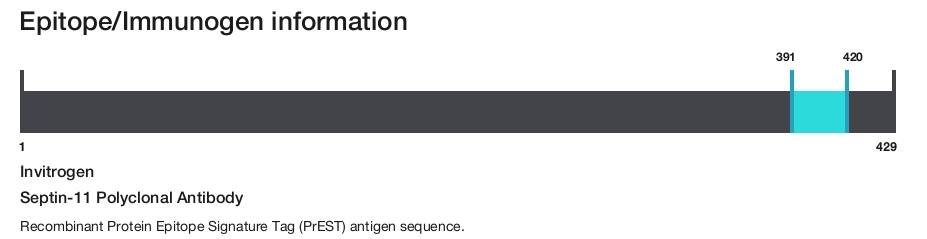 Septin-11 Polyclonal Antibody